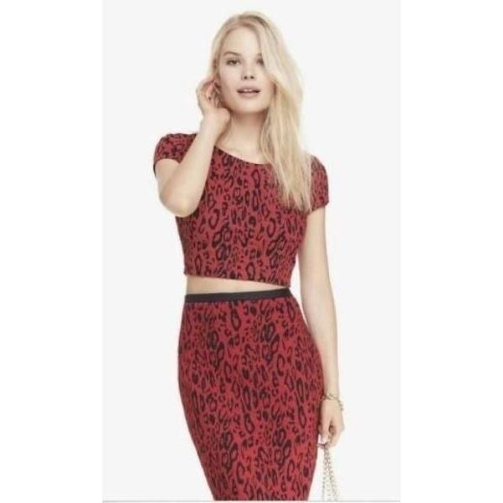 Express Leopard Jacquard Cropped Tee Top Shirt XS